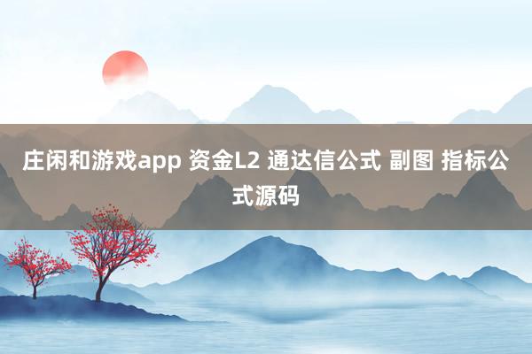莊閑和游戲app 資金L2 通達信公式 副圖 指標公式源碼