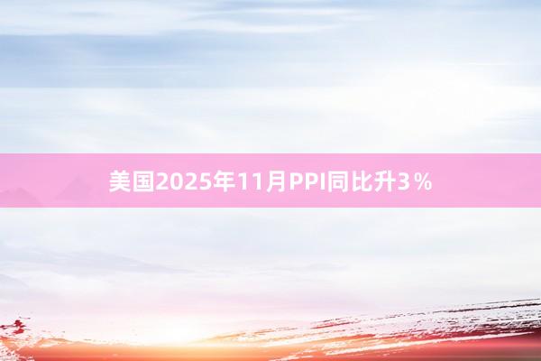美國(guó)2025年11月PPI同比升3％