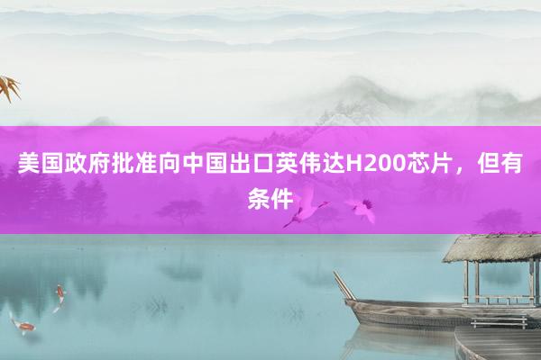 美國政府批準(zhǔn)向中國出口英偉達(dá)H200芯片，但有條件