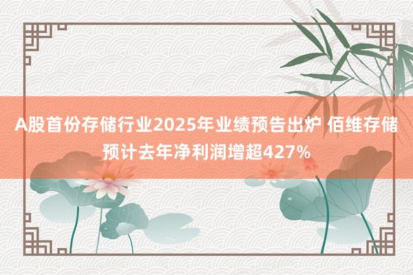 A股首份存儲行業(yè)2025年業(yè)績預告出爐 佰維存儲預計去年凈利潤增超427%