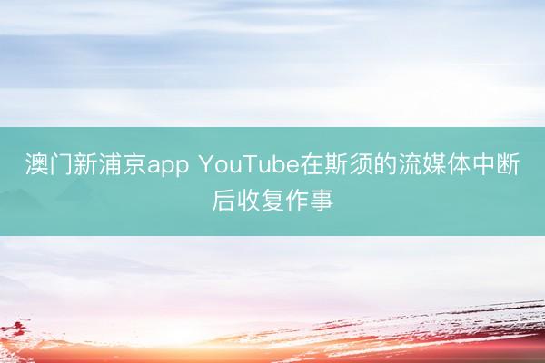澳門新浦京app YouTube在斯須的流媒體中斷后收復作事