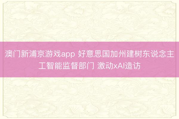 澳門新浦京游戲app 好意思國加州建樹東說念主工智能監(jiān)督部門 激動xAI造訪