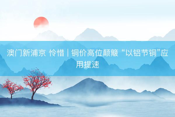 澳門新浦京 憐惜 | 銅價高位顛簸 “以鋁節(jié)銅”應(yīng)用提速