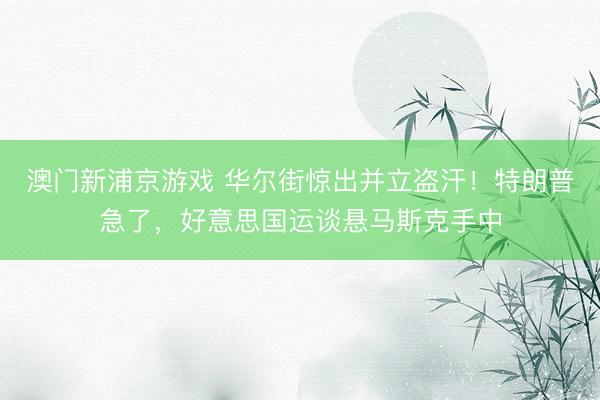 澳門新浦京游戲 華爾街驚出并立盜汗！特朗普急了，好意思國運談懸馬斯克手中