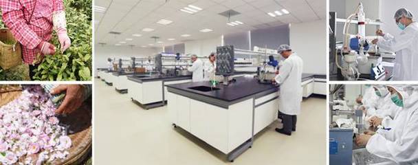 林清軒 一瓶山茶花油的品牌煉金術與400家門店的擴張之路