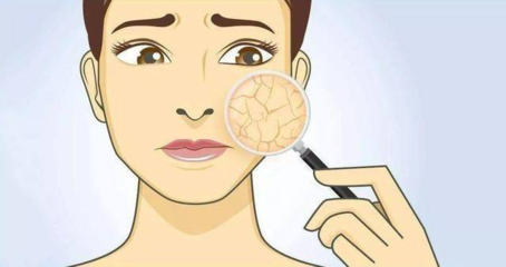 透皮吸收實驗 解鎖高端功效化妝品研發的科技鑰匙